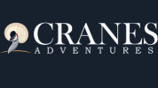 cranes